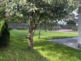 Nuomojamas dviejų aukštų namas šalia Vilniaus - nuotraukos Nr. 14