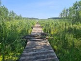 Parduodamas 2,66 ha sklypas prie Lieluko - nuotraukos Nr. 3