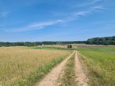 Parduodamas 2,66 ha sklypas prie Lieluko - nuotraukos Nr. 10