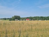 Parduodamas 2,66 ha sklypas prie Lieluko - nuotraukos Nr. 12