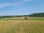 Parduodamas 2,66 ha sklypas prie Lieluko - nuotraukos Nr. 13
