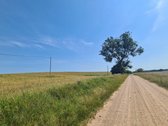 Parduodamas 2,66 ha sklypas prie Lieluko - nuotraukos Nr. 14
