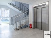  – Nt ekspertai be procentų - nuotraukos Nr. 25