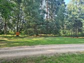 Parduodamas puikus miško sklypas Vilniaus r. - nuotraukos Nr. 8