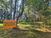 Parduodamas puikus miško sklypas Vilniaus r. - nuotraukos Nr. 6