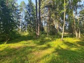 Parduodamas puikus miško sklypas Vilniaus r. - nuotraukos Nr. 3