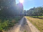 Parduodamas puikus miško sklypas Vilniaus r. - nuotraukos Nr. 11