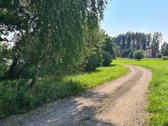 Parduodamas puikus miško sklypas Vilniaus r. - nuotraukos Nr. 13