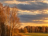  Pirkėjui tarpininkavimo mokestis – netaikomas. - nuotraukos Nr. 11