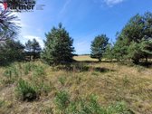 Parduodamas 50 arų rekreacinės paskirties - nuotraukos Nr. 5