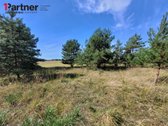 Parduodamas 50 arų rekreacinės paskirties - nuotraukos Nr. 12