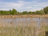 Sklypai Elektrėnų Marių Pakrantėje – Poilsio - nuotraukos Nr. 10