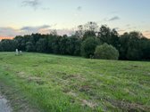 Parduodamas sklypas, 25 arai. Sklypas - nuotraukos Nr. 2