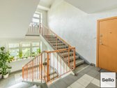  – Nt ekspertai be procentų - nuotraukos Nr. 31