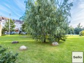  – Nt ekspertai be procentų - nuotraukos Nr. 36