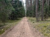 Parduodamas 1,27 ha ploto miško paskirties - nuotraukos Nr. 3