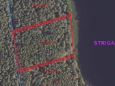 Parduodamas 1,27 ha ploto miško paskirties - nuotraukos Nr. 5