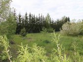 Tarandė - vienas sparčiausiai augančių - nuotraukos Nr. 11
