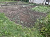 Be Tarpininkų Parduodamas 6 a. Sklypas - nuotraukos Nr. 7