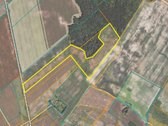 Parduodami Žemės Ūkio Paskirties Sklypai - nuotraukos Nr. 12
