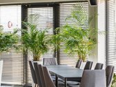 Parduodamas Pilnai Įrengtas Pastatas Su 6 - nuotraukos Nr. 49