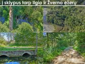 Parduodami trys besiribojantys, bendro 3,8781 - nuotraukos Nr. 15