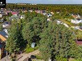 5.93 Arų Sklypas Su Brandžiomis Pušimis - nuotraukos Nr. 6