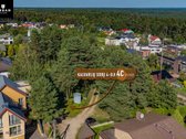 5.93 Arų Sklypas Su Brandžiomis Pušimis - nuotraukos Nr. 7