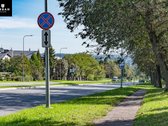 5.93 Arų Sklypas Su Brandžiomis Pušimis - nuotraukos Nr. 13
