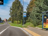 5.93 Arų Sklypas Su Brandžiomis Pušimis - nuotraukos Nr. 15