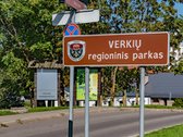 5.93 Arų Sklypas Su Brandžiomis Pušimis - nuotraukos Nr. 17
