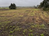 Parduodamas Erdvus 42 Arų Sklypas Su - nuotraukos Nr. 2
