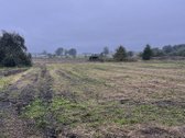 Parduodamas Erdvus 42 Arų Sklypas Su - nuotraukos Nr. 10