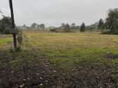 Parduodamas Erdvus 42 Arų Sklypas Su - nuotraukos Nr. 13