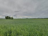 Parduodamas jaukus, prižiūrėtas 3 kambarių - nuotraukos Nr. 11
