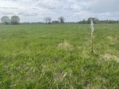 Parduodane sklypą prie Nemuno Atmatos) upės . - nuotraukos Nr. 5