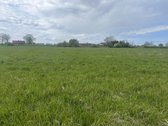 Parduodane sklypą prie Nemuno Atmatos) upės . - nuotraukos Nr. 7