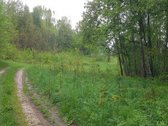 Išskirtinė 1 ha rekreacinė valda su 50 m - nuotraukos Nr. 2