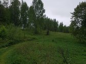 Išskirtinė 1 ha rekreacinė valda su 50 m - nuotraukos Nr. 3