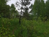 Išskirtinė 1 ha rekreacinė valda su 50 m - nuotraukos Nr. 5