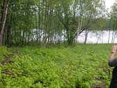 Išskirtinė 1 ha rekreacinė valda su 50 m - nuotraukos Nr. 7