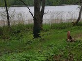 Išskirtinė 1 ha rekreacinė valda su 50 m - nuotraukos Nr. 8