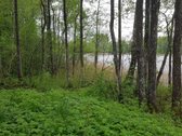 Išskirtinė 1 ha rekreacinė valda su 50 m - nuotraukos Nr. 9