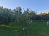 Parduodamas pilnai įrengtas dviejų aukštų - nuotraukos Nr. 22