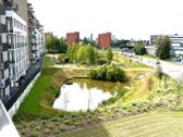 Išnuomojamas Erdvus Ir Jaukus 2-jų kambarių - nuotraukos Nr. 8