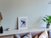 Jaukūs, Šviesūs Ir Ramūs Apartamentai - nuotraukos Nr. 3
