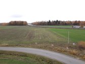 Parduodamas 4 Ha Žemės Sklypas Panevėžio Raj. - nuotraukos Nr. 9