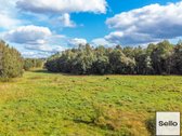  – Nt ekspertai be procentų - nuotraukos Nr. 8