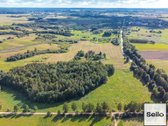  – Nt ekspertai be procentų - nuotraukos Nr. 19