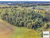  – Nt ekspertai be procentų - nuotraukos Nr. 21